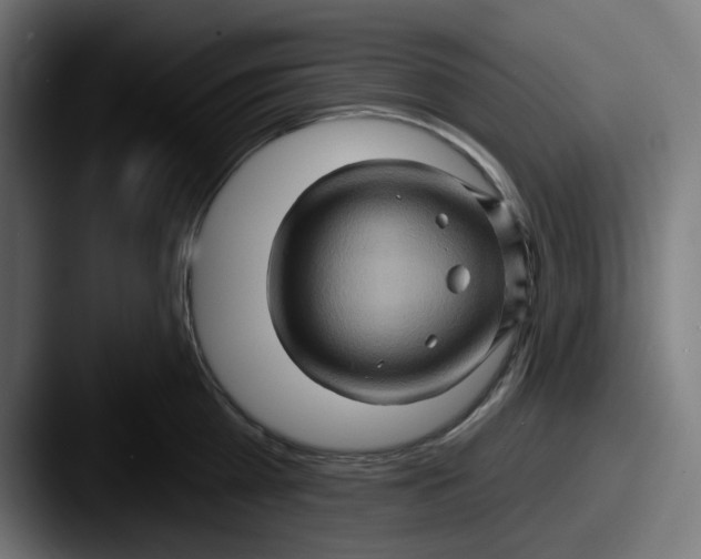 X0000087530809200705181029