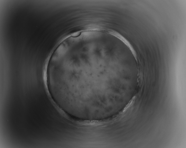 X0000087530811200705181029