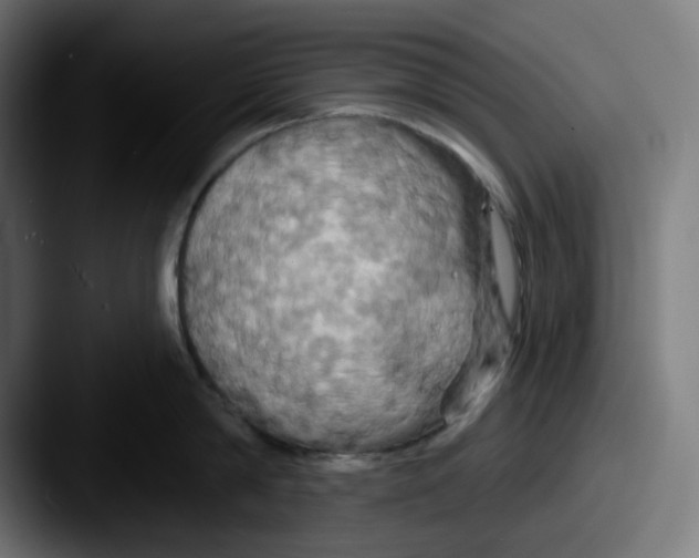 X0000087530814200705181029