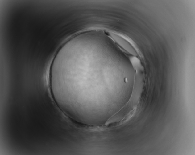 X0000087530815200705181029