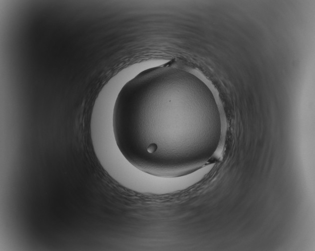 X0000087530818200705181029