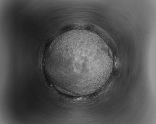 X0000087530819200705181029