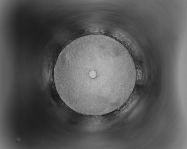 X0000087530820200705181029