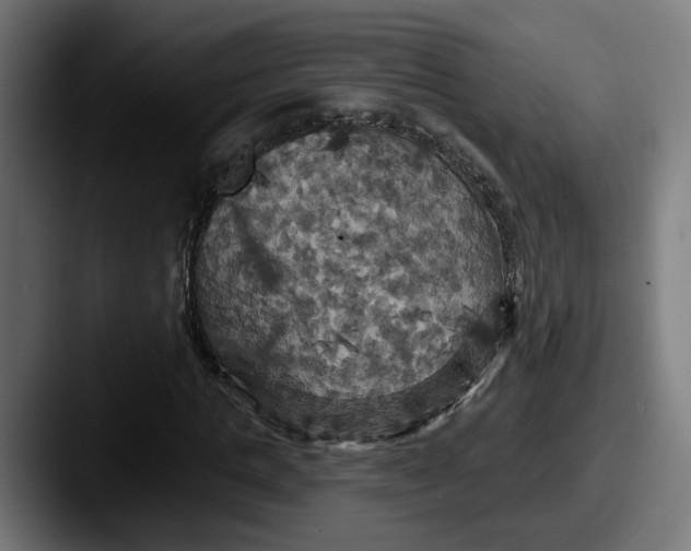 X0000087530821200705181029