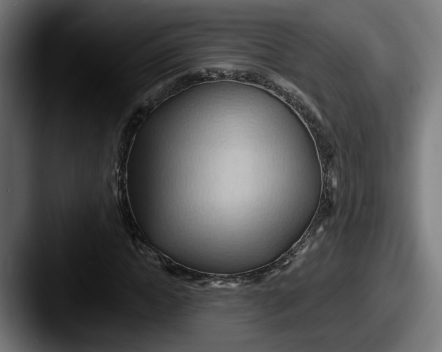 X0000087530822200705181029