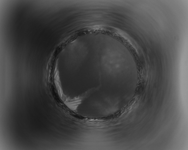 X0000087530823200705181029