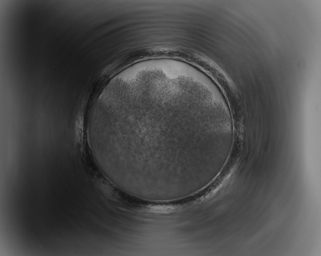 X0000087530825200705181029