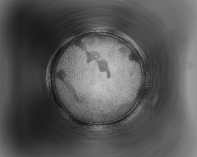 X0000087530827200705181029