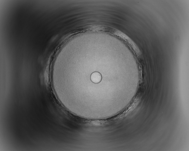 X0000087530828200705181029