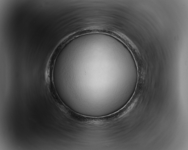 X0000087530830200705181029