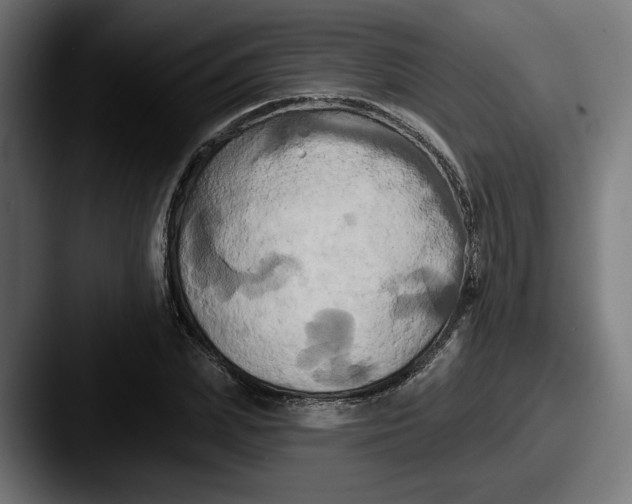 X0000087530831200705181029