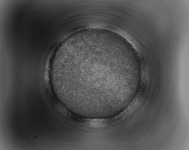 X0000087530832200705181029