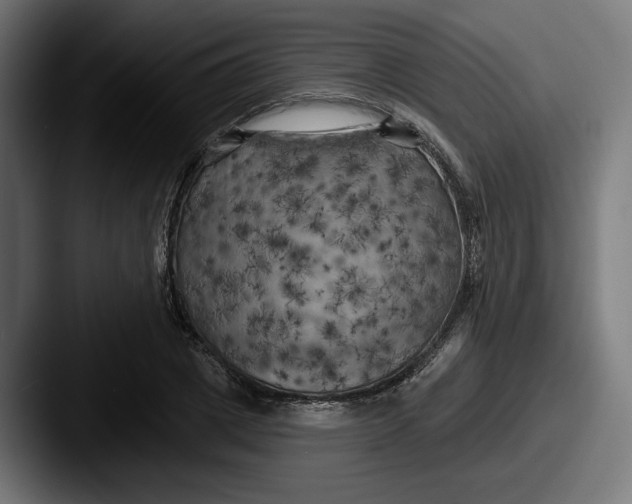 X0000087530833200705181029