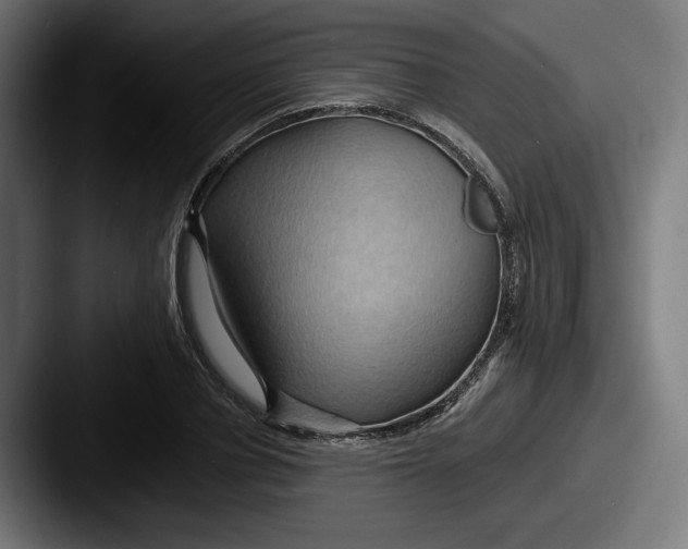 X0000087530834200705181029