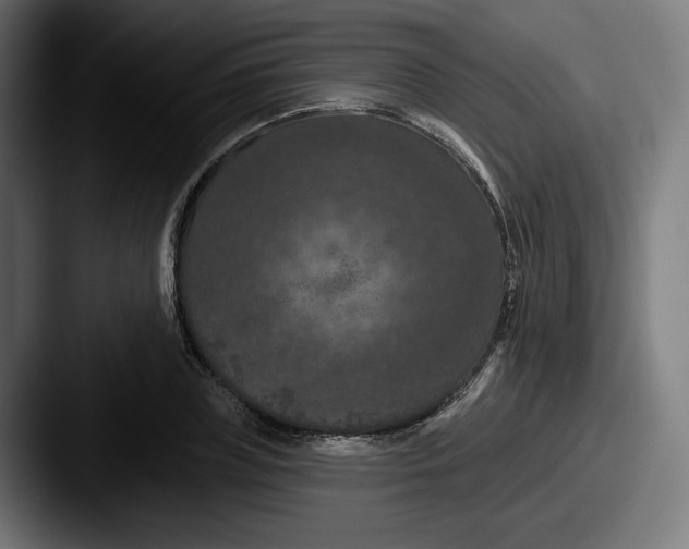 X0000087530835200705181029