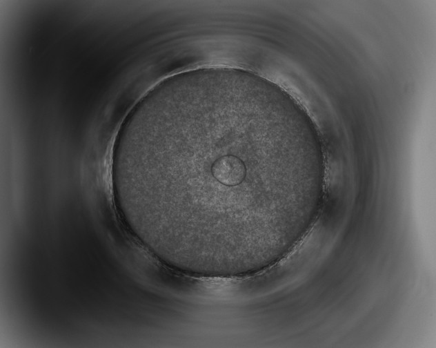 X0000087530836200705181029