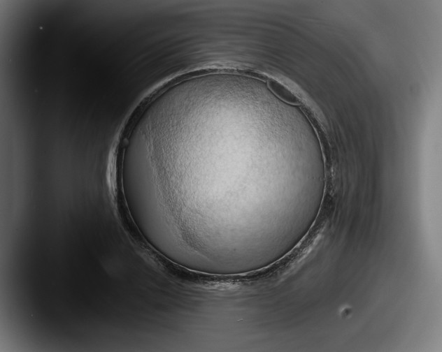 X0000087530838200705181029