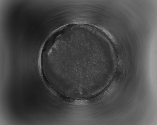 X0000087530840200705181029