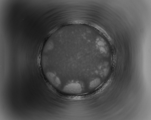 X0000087530841200705181029