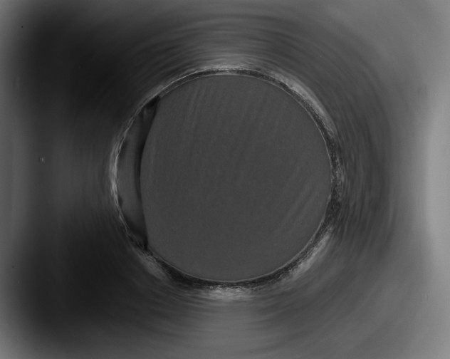 X0000087530842200705181029