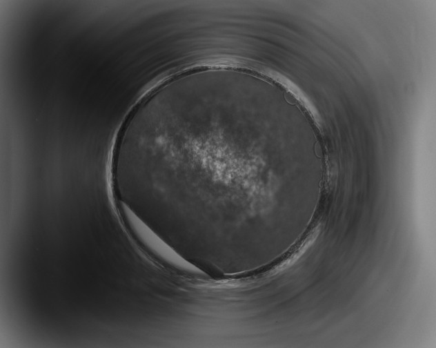 X0000087530845200705181029