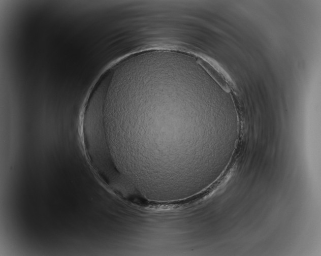 X0000087530846200705181029