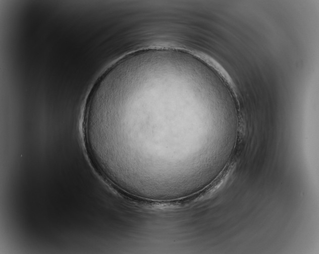 X0000087530847200705181029