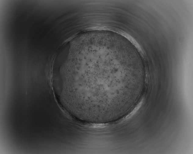 X0000087530849200705181029