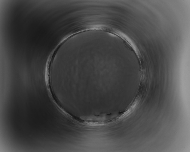 X0000087530851200705181029