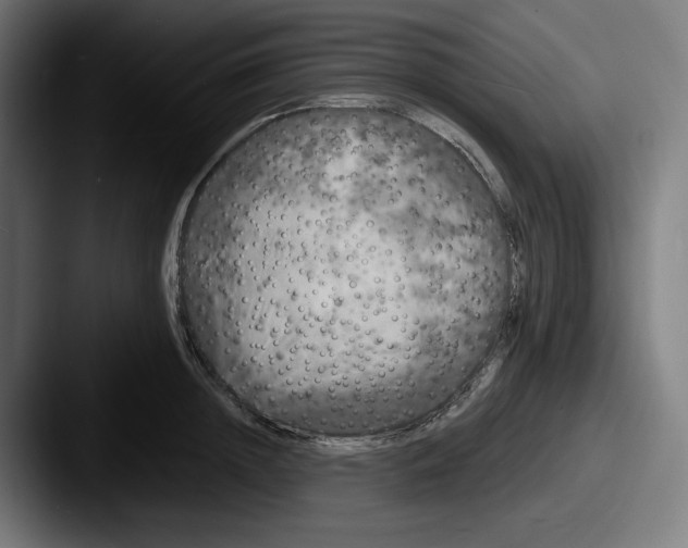 X0000087530852200705181029