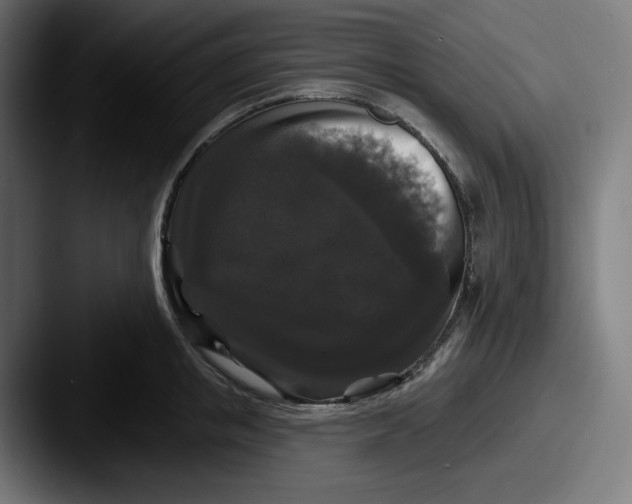 X0000087530853200705181029