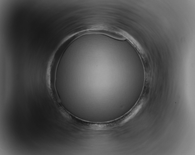 X0000087530854200705181029