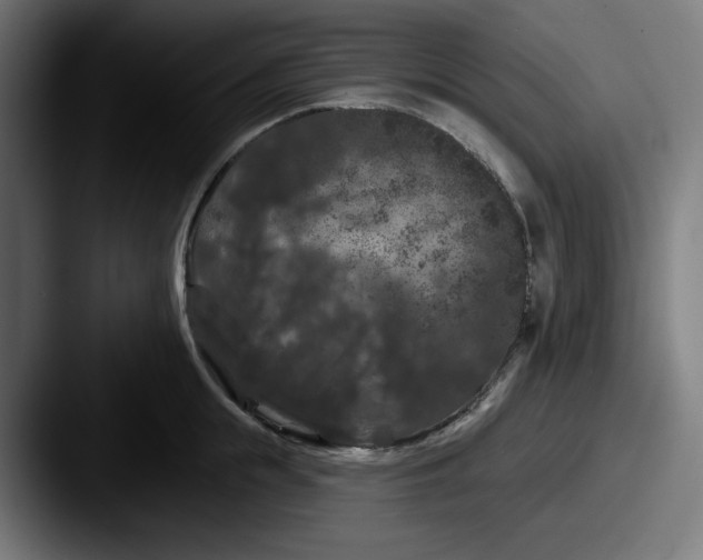 X0000087530855200705181029