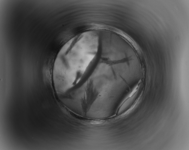 X0000087530857200705181029