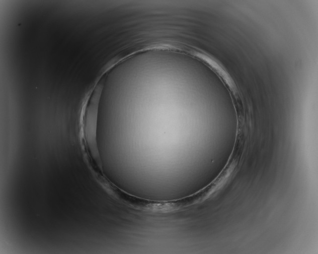 X0000087530858200705181029