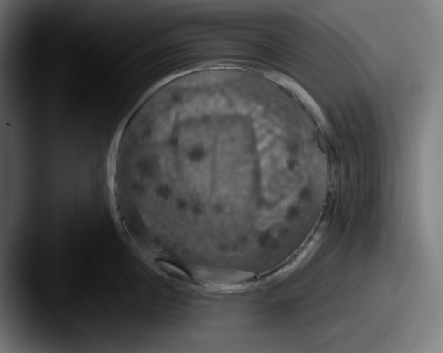 X0000087530860200705181029