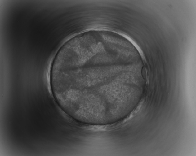 X0000087530861200705181029