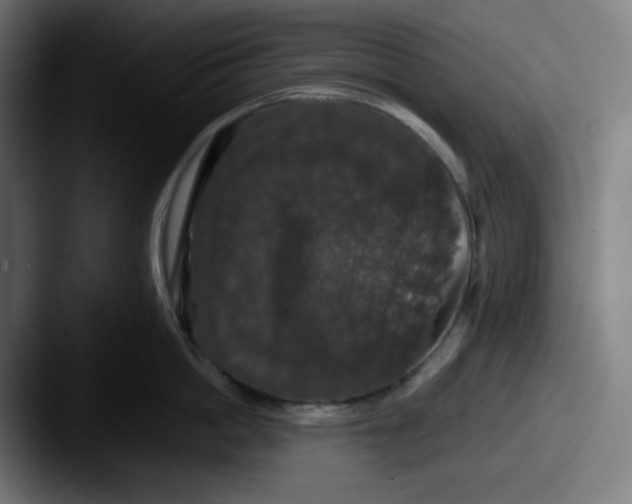 X0000087530862200705181029