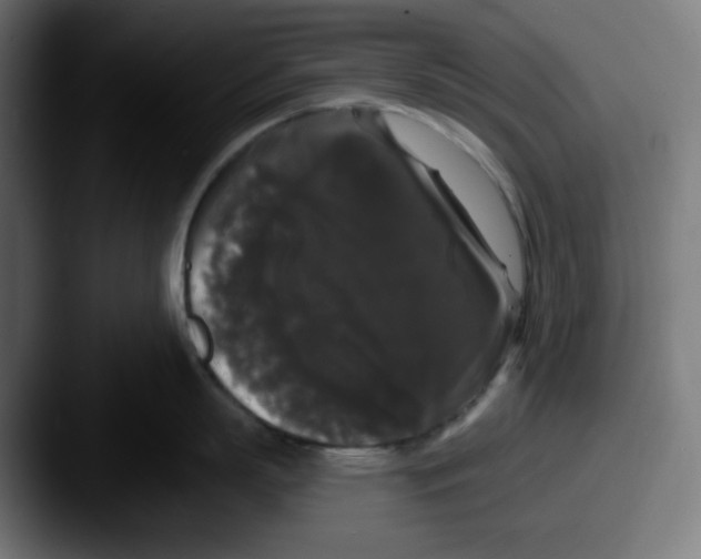 X0000087530863200705181029