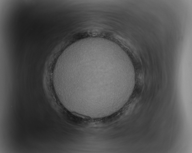 X0000087530865200705181029