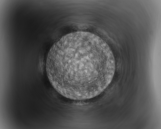 X0000087530866200705181029