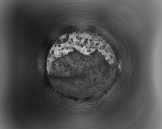 X0000087530867200705181029