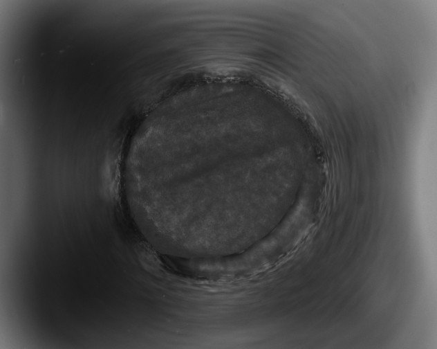 X0000087530868200705181029