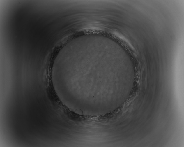 X0000087530870200705181029