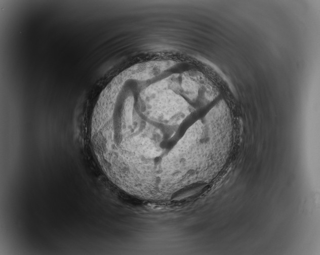 X0000087530871200705181029