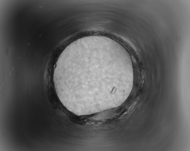 X0000087530872200705181029