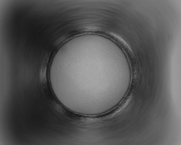 X0000087530873200705181029