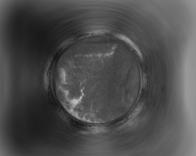 X0000087530874200705181029