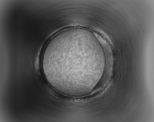 X0000087530876200705181029