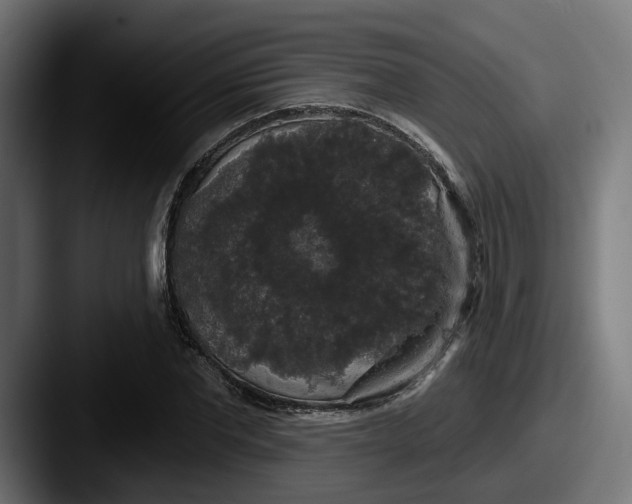 X0000087530877200705181029